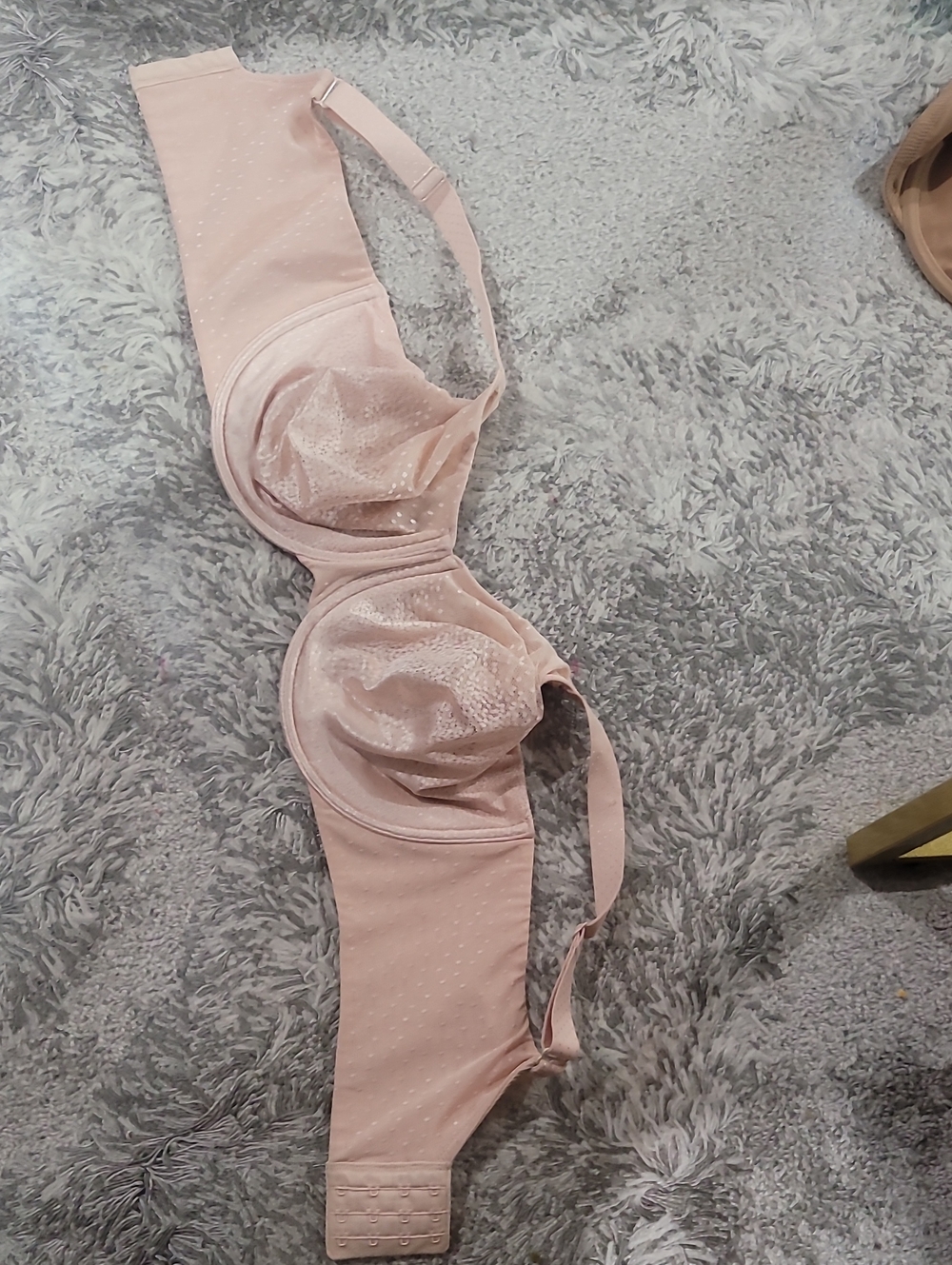 Wacoal Pale Pink Support Bra with Sheer Dot Cups